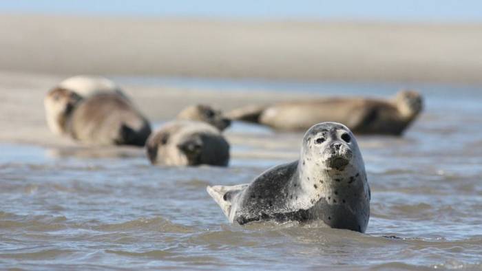 Cursus Nationaal Park Oosterschelde voor bewoners