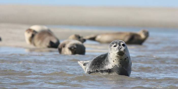 Cursus Nationaal Park Oosterschelde voor bewoners