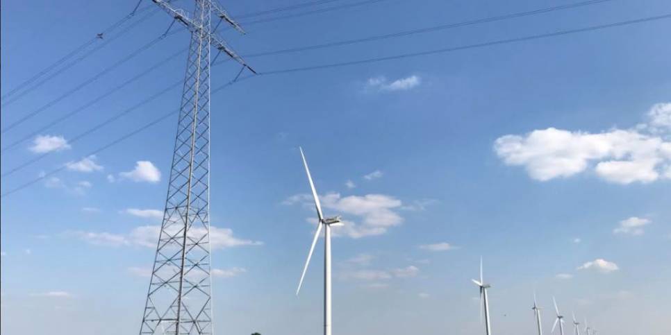 Kink in kabel voor Zeeuwse windprojecten na uitspraak Raad van State