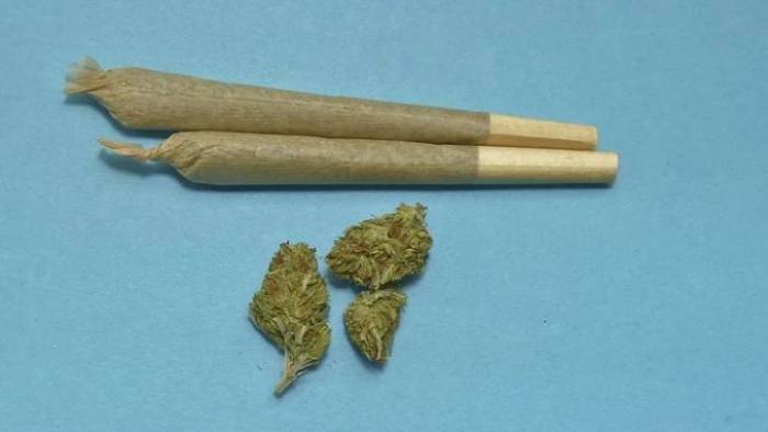 Brabantse burgemeesters willen legalisering drugsverkoop: Zeeland onderzoekt impact