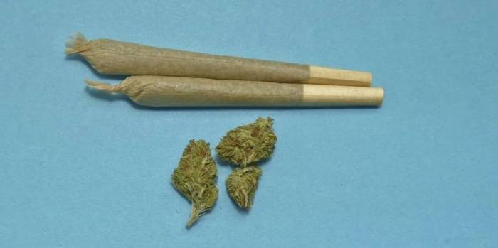 Brabantse burgemeesters willen legalisering drugsverkoop: Zeeland onderzoekt impact