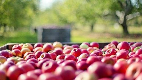 Caroline Verwijs nieuwe bestuursvoorzitter Stichting FoodDelta Zeeland