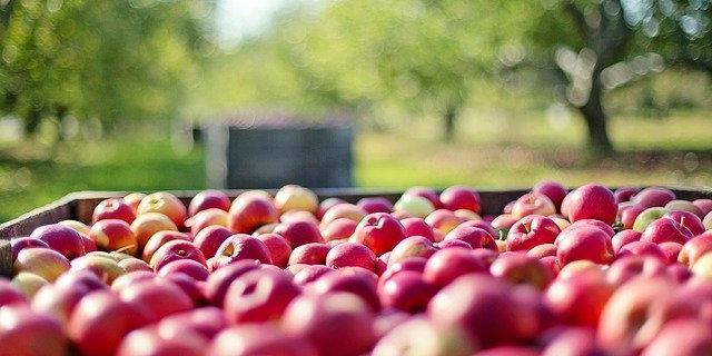 Caroline Verwijs nieuwe bestuursvoorzitter Stichting FoodDelta Zeeland