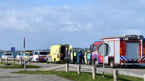 Duiker overleden bij ongeval Kattendijke