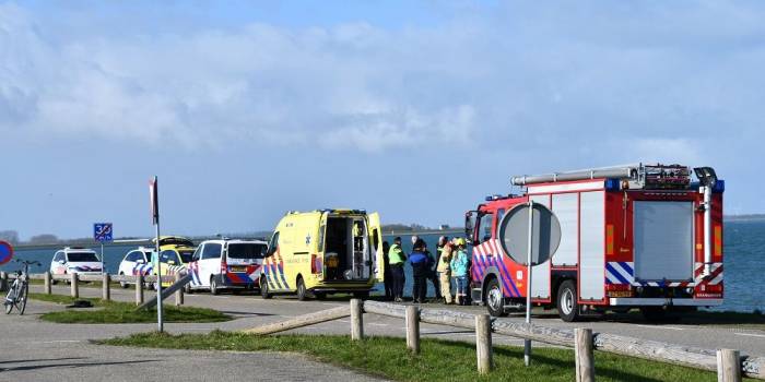 Duiker overleden bij ongeval Kattendijke