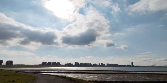 De provincie Zeeland laat onderzoeken of de Westerschelde zwemveilig is. Dit in verband met de vele berichten over PFAS. Op drie locaties, Perkpolder, Baarland en Vlissingen, worden metingen gedaan om het veiligheidsrisico voor zwemmers in te schatten.