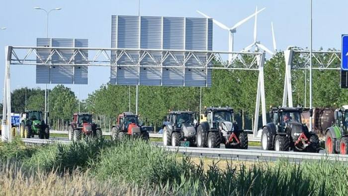 Ook raad Reimerswaal unaniem tegen landelijk stikstofbeleid