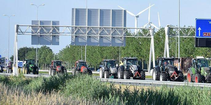 Ook raad Reimerswaal unaniem tegen landelijk stikstofbeleid