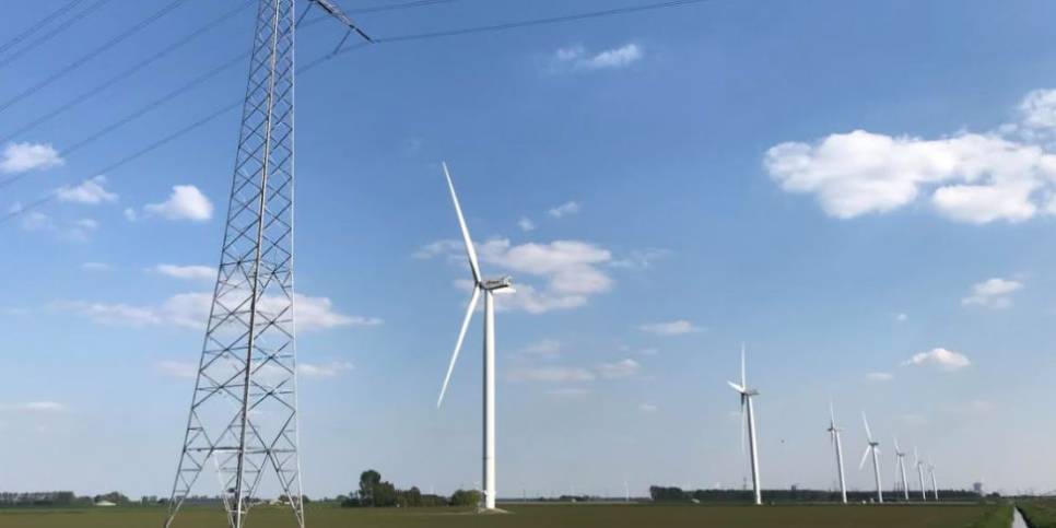 Reimerswaal zet rem op nieuwe windmolens Rilland-Oost: ‘We willen geen industrieel gebeuren'