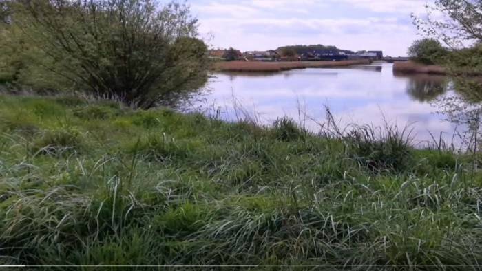 Dorpsbewoners Colijnsplaat willen geen huizen maar dorpspark bij Vallekreek: 'DIt mág niet verloren gaan'