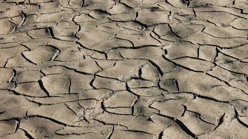 Voor eerst in tien jaar een verbod op gebruik slootwater landbouw: 'Dit gaat vaker gebeuren'