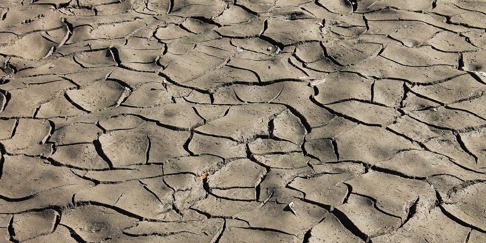 Voor eerst in tien jaar een verbod op gebruik slootwater landbouw: 'Dit gaat vaker gebeuren'