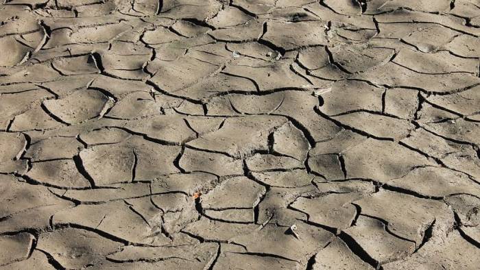 Voor eerst in tien jaar een verbod op gebruik slootwater landbouw: 'Dit gaat vaker gebeuren'