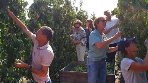 Fruitpluk zucht onder ergste droogte sinds jaren: investeren in zoetwater onvermijdelijk