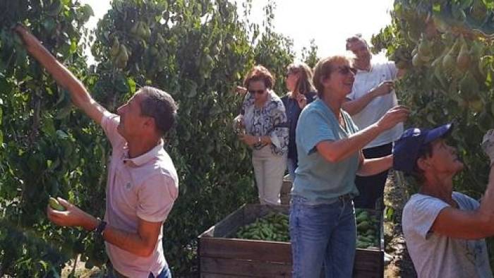 Fruitpluk zucht onder ergste droogte sinds jaren: investeren in zoetwater onvermijdelijk