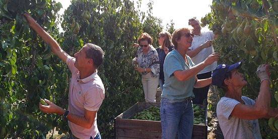 Fruitpluk zucht onder ergste droogte sinds jaren: investeren in zoetwater onvermijdelijk