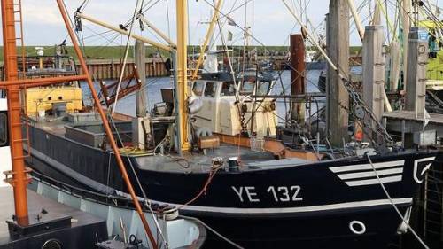 Toegang bij kadewand van Julianahaven in Yerseke tijdelijk beperkt