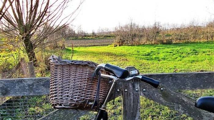 De paden op, de lanen in tijdens Natuurwerkdag 2022