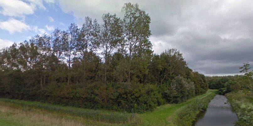 Noord-Beveland koopt Spuibos Kamperland voor speel- en belevingsbos