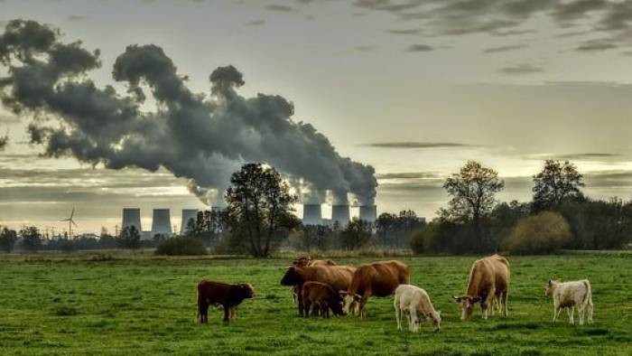 Informatieavond Klimaat en Duurzaamheid Nieuwdorp