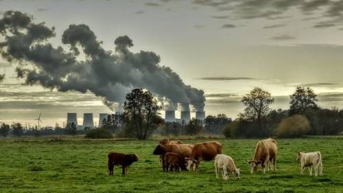 Informatieavond Klimaat en Duurzaamheid Nieuwdorp