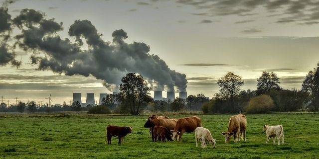 Informatieavond Klimaat en Duurzaamheid Nieuwdorp