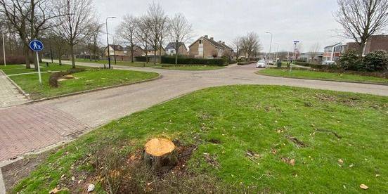 Nieuwe rotonde Hansweert nog voor de bouw al overbodig