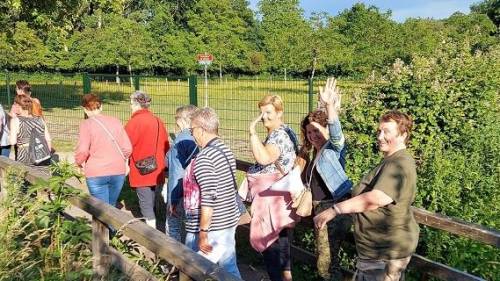 Wandelen met de Zeeuwse Leefstijlroute in de gemeente Goes