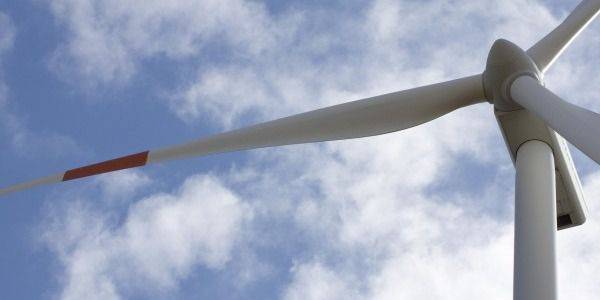 Windproject Ze-Bra moet Brabantse molen schrappen: 'Voldoet niet aan toets van defensie'