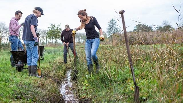 vrijwilligers in het veld tijdens de Natuurwerkdag