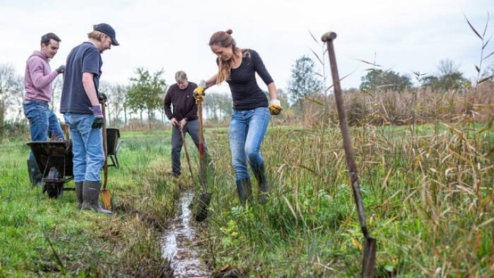 vrijwilligers in het veld tijdens de Natuurwerkdag