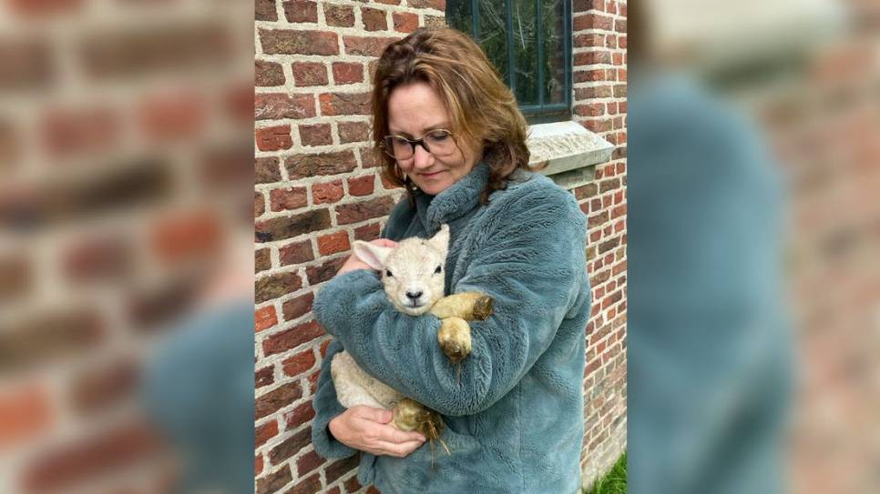 Yolanda uit Heinkenszand met één van haar lammetjes
