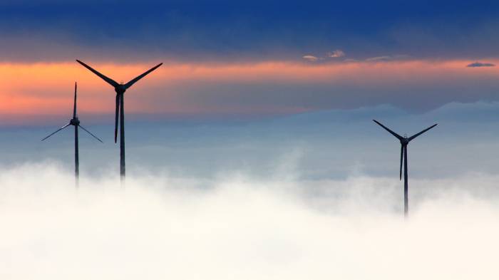 De mist lijkt op te trekken voor het toekomstige windpark ZeBra.