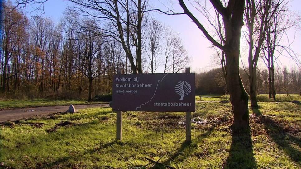 Het Poelbos