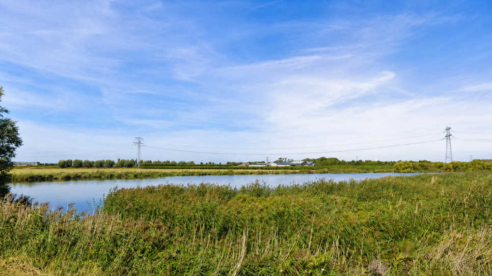 In de Reigersbergsche Polder bij Rilland mag wél oppervlaktewater worden gebruikt.
