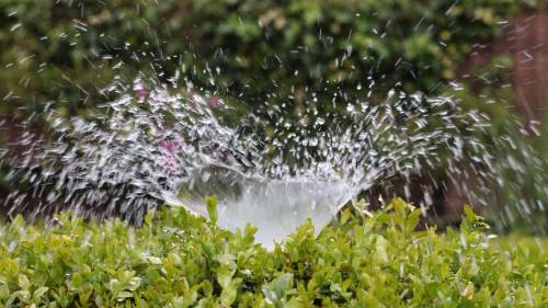 Voldoende, goed zoetwater is onmisbaar voor de landbouw.