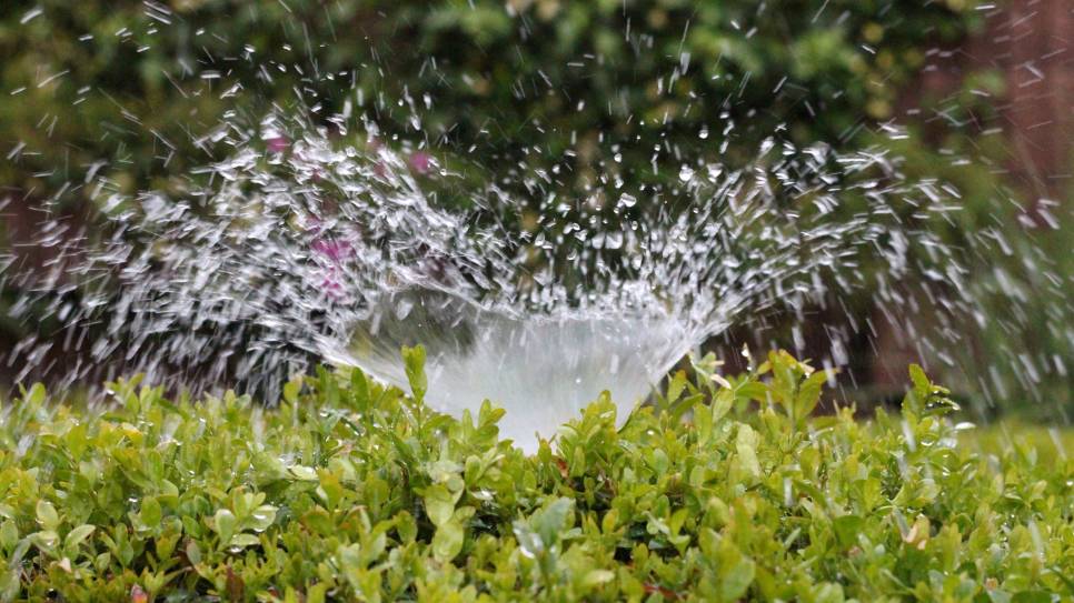 Voldoende, goed zoetwater is onmisbaar voor de landbouw.