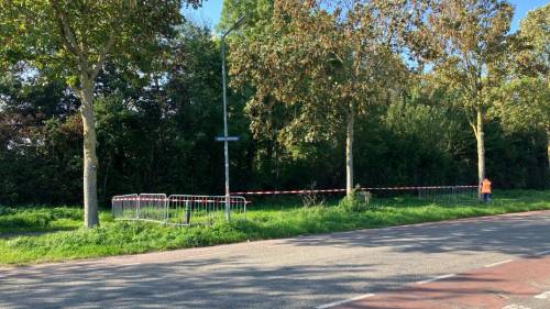 Gebied bij Lewedorp langer afgesloten na vondst Aziatische hoornaar