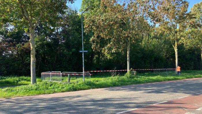 Gebied bij Lewedorp langer afgesloten na vondst Aziatische hoornaar
