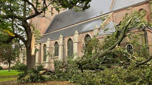 Een zware tak is op een deel van de Hervormde Kerk in Kapelle gevallen.