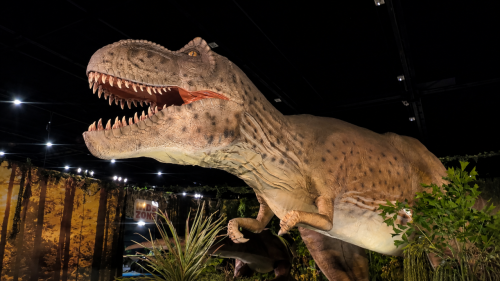 Terug naar de oertijd: levensechte dino's in Goes