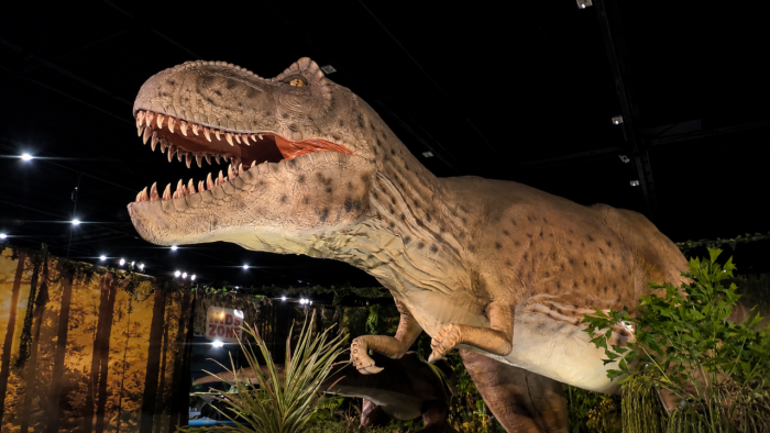 Terug naar de oertijd: levensechte dino's in Goes