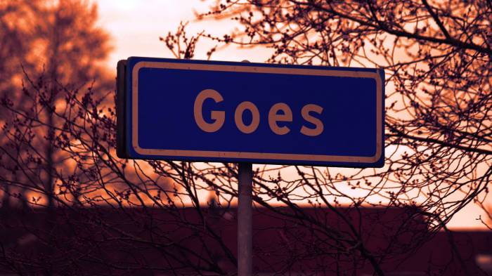 Goes heeft ambities: 'Groei is voorwaarde voor toekomstbestendigheid'