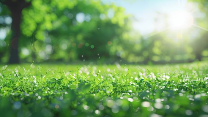 Inwoners kiezen naam voor nieuw park in Krabbendijke