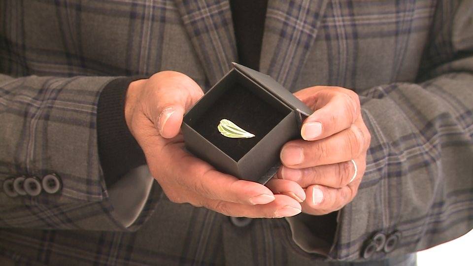 Het draaginsigne van de Groene Pluim