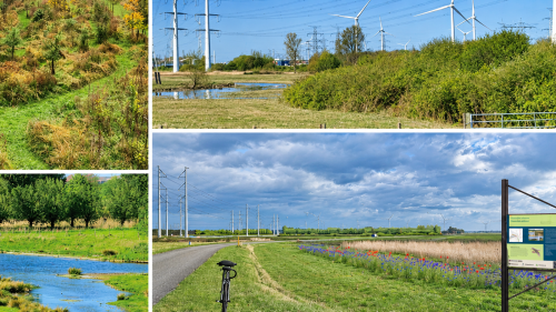 Fotocollage van groene en natte natuur bij Rilland.