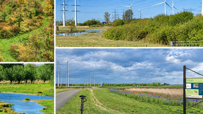 Fotocollage van groene en natte natuur bij Rilland.