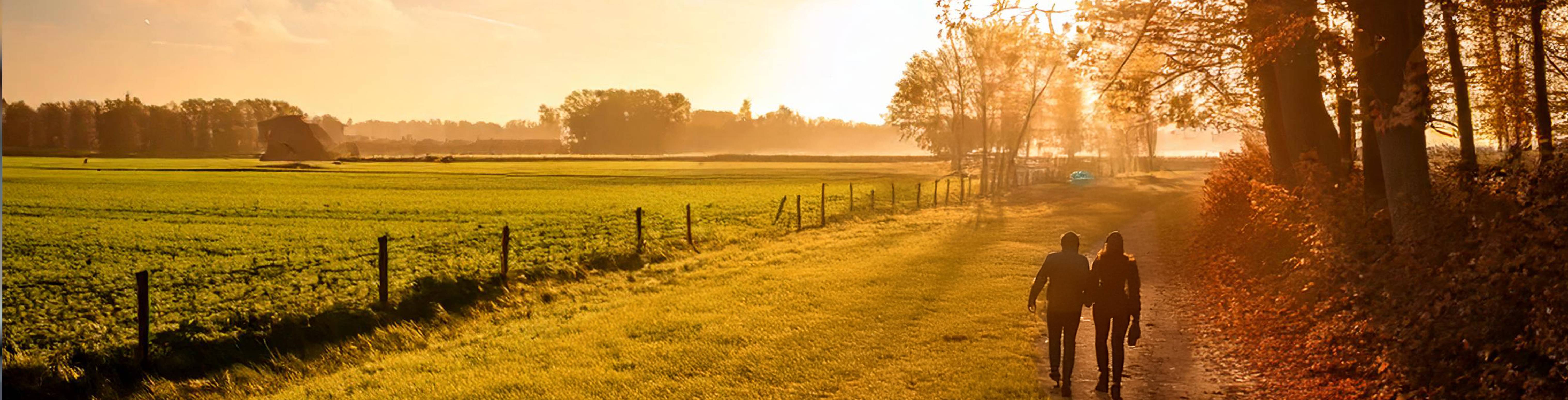 Herfst wandeling