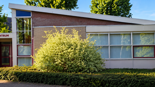 Na honderd jaar krijgt Buurtvereniging Het Centrum een koninklijk tintje