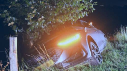 De auto kwam tegen de boom tot stilstand.